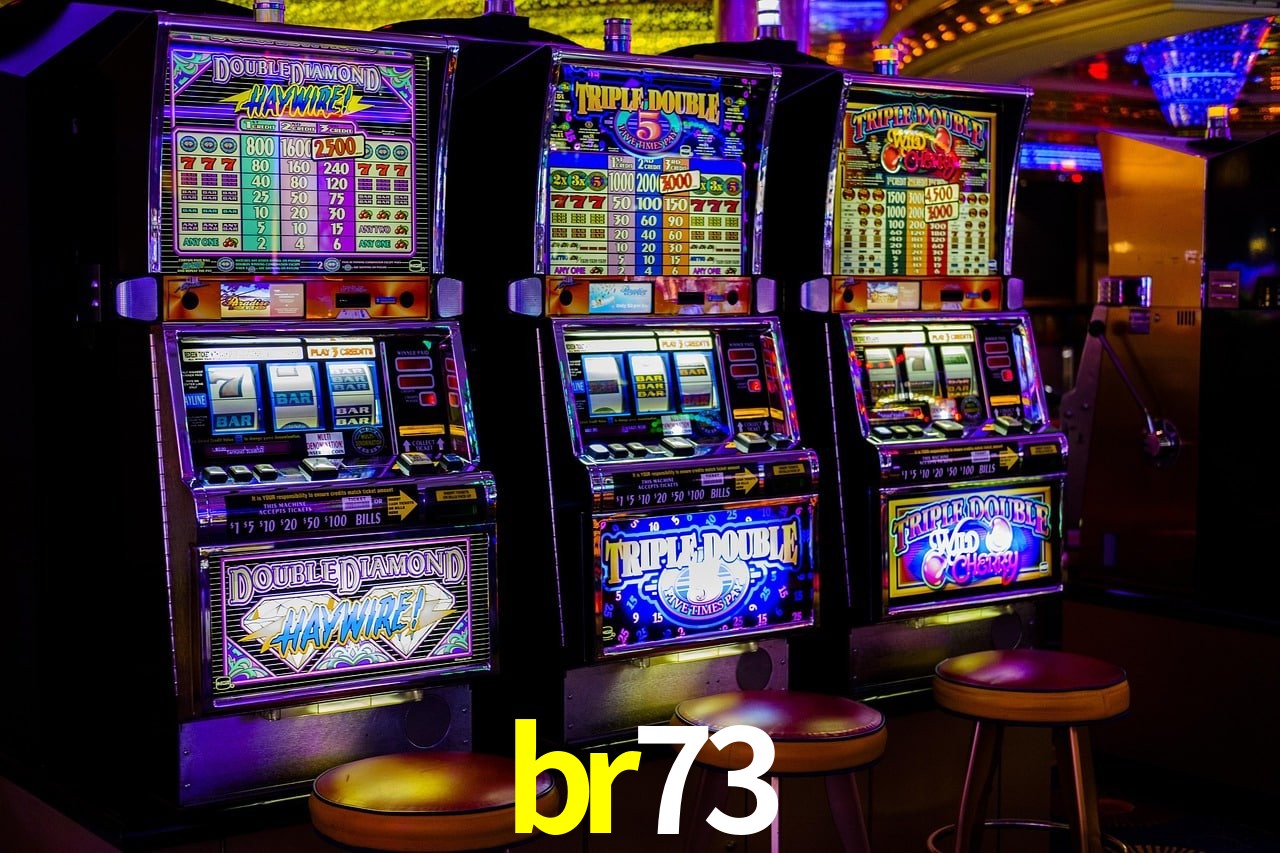 Programa VIP br73