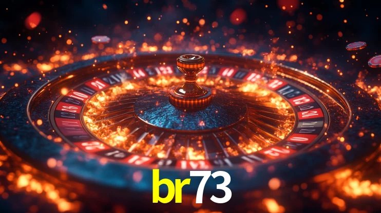 Premium Interface br73