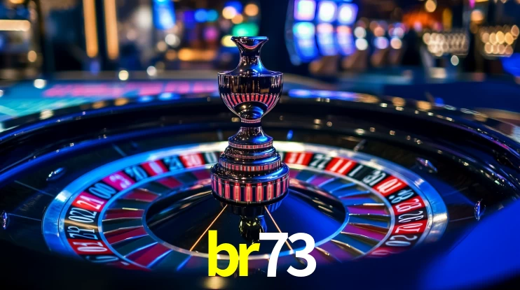 br73 App Interface